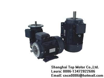 Ms Series Three Phase Asynchronous Motors