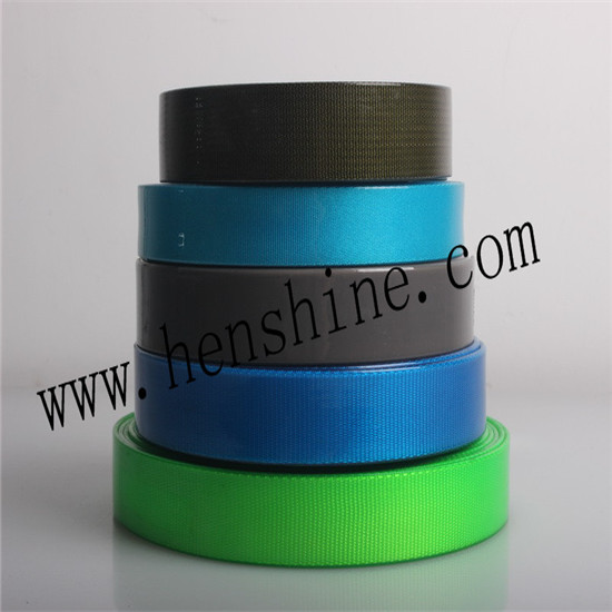 Multiple Color Polyester Webbing Applicant For Dog And Horse