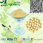 Natural Pea Protein Isolate Powder