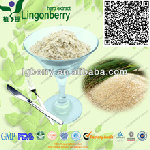 Natural Rice Protein Powder