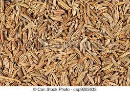 New Crop Cumin Seeds Spices Products