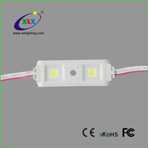 New Product Sales Led Not Waterproof Small Two Light Injection Module