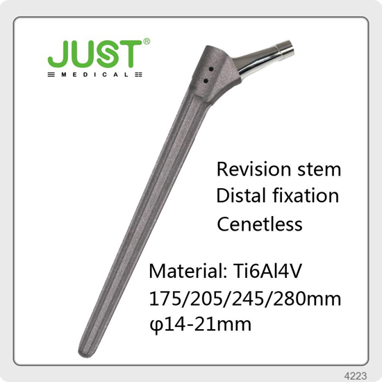 Oem Hip Prosthesis Joint Implants