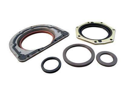 Offer Different Kinds Of Oil Seal