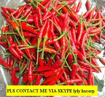 Offer Fresh Small Chilli From Viet Nam
