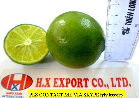 Offer Lime With Seed From Vietnam