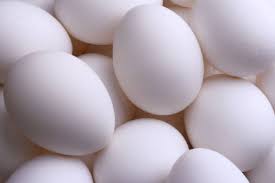 Offer To Sell Fresh White Shell Eggs
