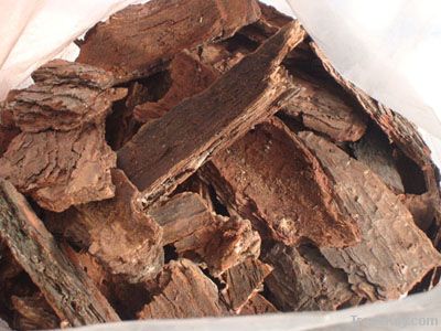 Opc 95 Of Pine Bark Extract Powder