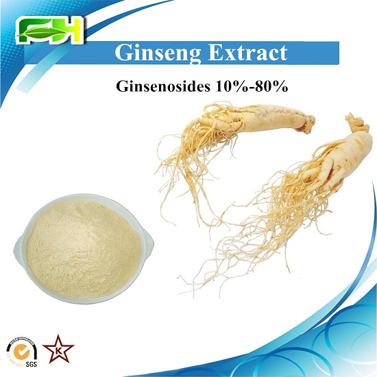 Panax Ginseng Root Extract Ginsenosides