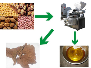 Peanut Screw Oil Press Machine Soybean