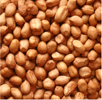 Peanuts For Birdfood Special Offer