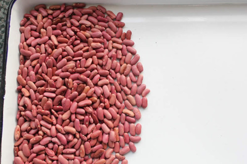 Pink Red Kidney Beans