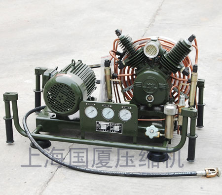 Piston Type High Pressure Air Compressor 300 Bar 30 Mpa 4500 Psi 100l Min 440v 60hz 220v 380v 50hz G