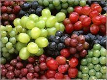 Plant Fruit Herbs Of Grape Seed Extract
