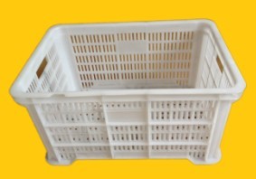 Plastic Injection Crate Mould