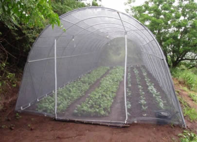 Plastic Insect Screen Resist Uv Rays And Insects
