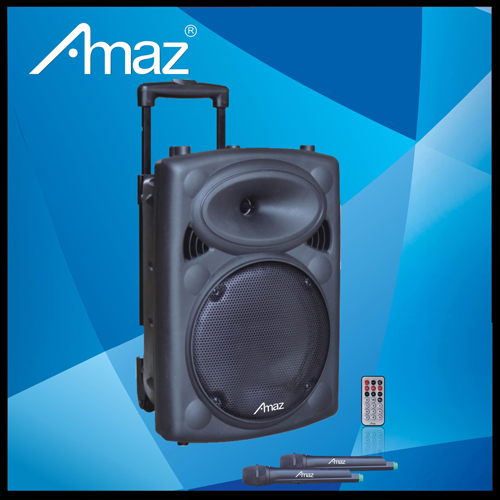 Portable Pa Speaker Rechargeable