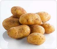 Potatoes Egyption Farms Highline For Import And Export