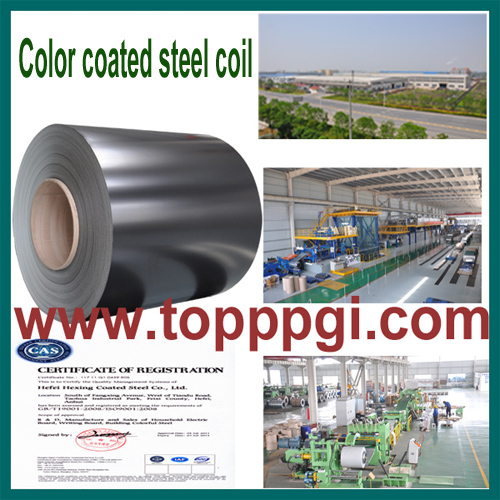 Ppgi Color Coated Steel Coil Prepainted Steel Coil