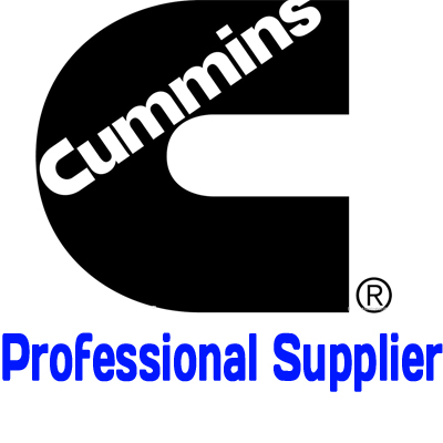 Professional Cummins Supplier In China Diesel Engine Spare Part K38 K19 Nt855 M11