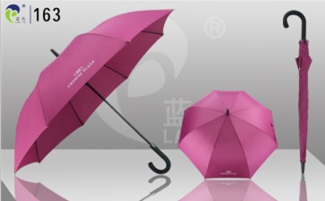 Promotional Straight Umbrella 163