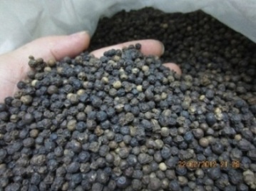 Provide Black And White Pepper With Good Price