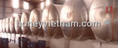 Pure Natural Honey From Top Vietnam Factory