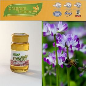 Pure Natural Milk Vetch Honey For Sale