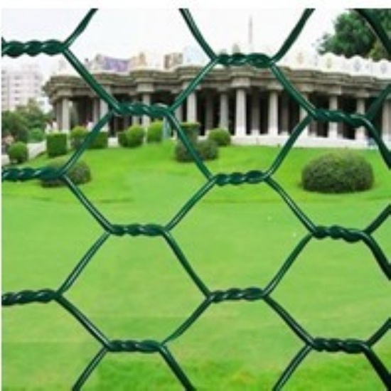 Pvc Coated Chicken Wire Used For Poultry Farms Birds Cages Tennis Courts