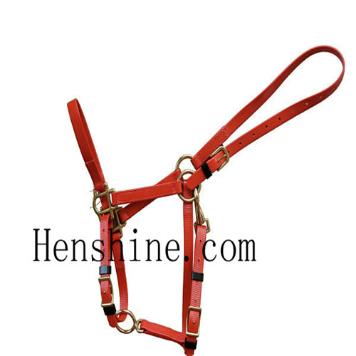 Pvc Horse Halter 1 2 Coated Webbing Alloy Buckle 3 Professional Technic Waterproof 4 Easy To Clean D