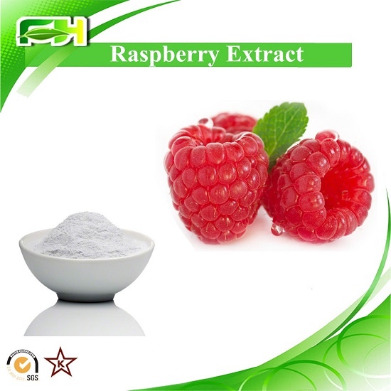 Raspberry Extract Ketone 4 98 99 Ellagic Acid 20 40 60