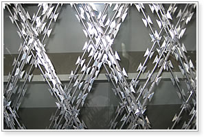 Razor Wire Fence Protection Mesh Manufacturer Exporter