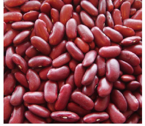 Red Kidney Beans Rajma