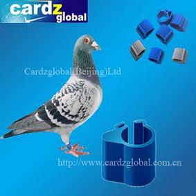 Rfid Animal Tag For Pigeon And Chicken Duck