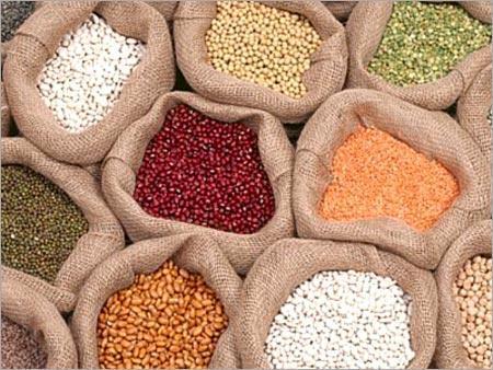 Rice And Food Grains