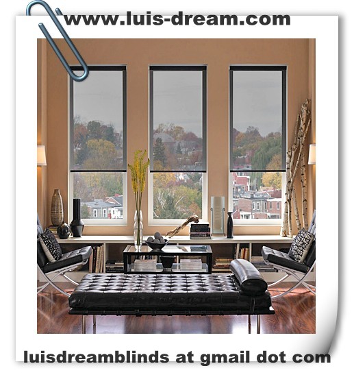 Roller Blind Fabrics Blinds Supplier From China