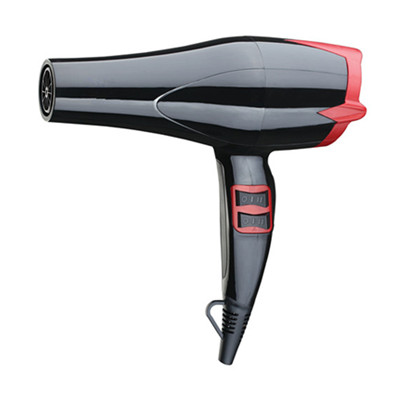 Salon Hair Dryers Which Offer Oem Odm