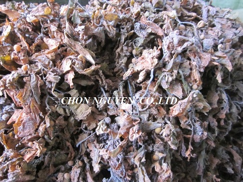 Sargassum Seaweed Ulva Gracilaria Ecottonii Powder