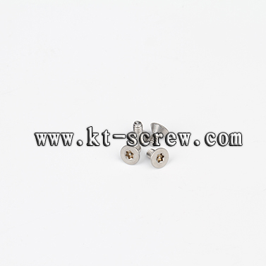 Security Screw Of High Spray Test Stainless Steel