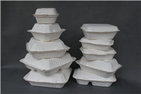 Sell Biodegradable Disposable Sugarcane Fiber Food Containers