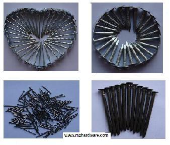 Sell Common Iron Wire Nail