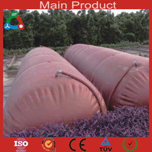 Sell Hot Sale Industry Fuel Application Biogas Plant