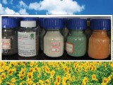 Sell Npk Compound Fertlizer Complex Fertilizer Mixed Engrais Agriculture Manure N P K Organic