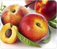 Sell Peach Fruits From Egypt
