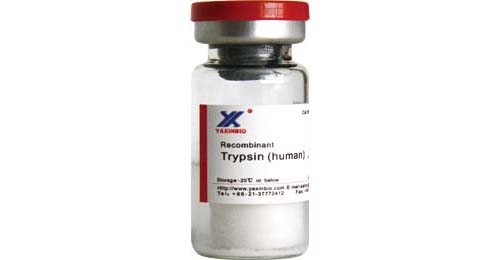 Sell Recombinant Human Trypsin 2