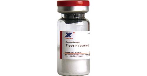 Sell Recombinant Porcine Trypsin 1