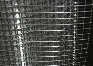 Sell Welded Wire Mesh With High Quality