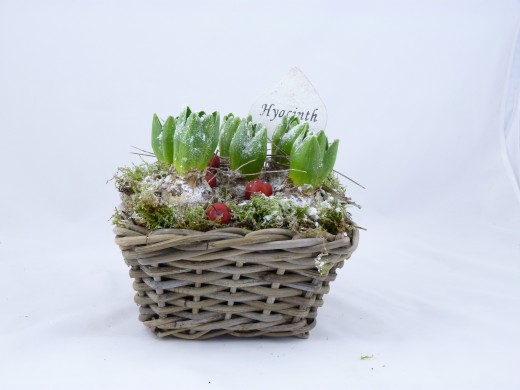 Sell Wicker Flower Pot Willow Garden Basket