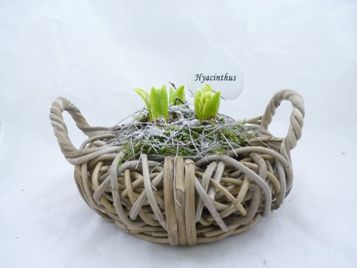 Sell Wood Chip With Willow Weaving Basket Wicker Flower