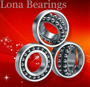 Shanghai Lona Bearing Co Ltd
